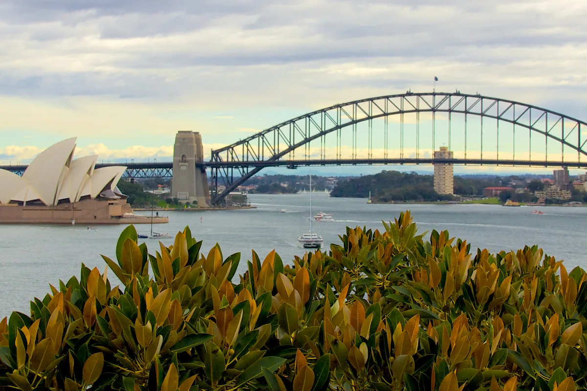 Sydney Opera House and Harbour Bridge; SpikeSecure serves Australian clients remotely from India
