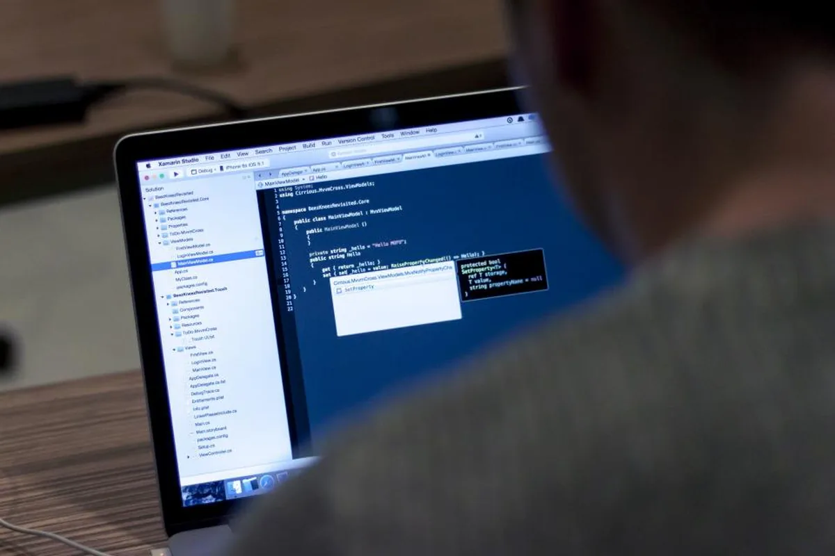 Developer writing code on a laptop, representing custom software built in India for US companies